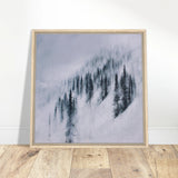 06208d3c-29c7-4544-a40f-f9b7782e460d