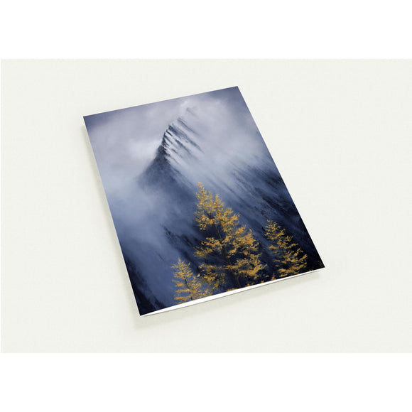 1a6c903f-775f-462f-9685-9a53cbccd743