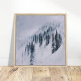 2cb7cca9-62b5-49a7-82fe-469563fbc3ee