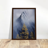 55c797d8-dd5c-49bc-855a-551c8666aa25