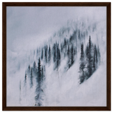 b165dc73-3325-4100-85b9-65e2e441163d