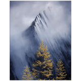 bc5c2205-9282-4408-a10f-1aa4c4768038